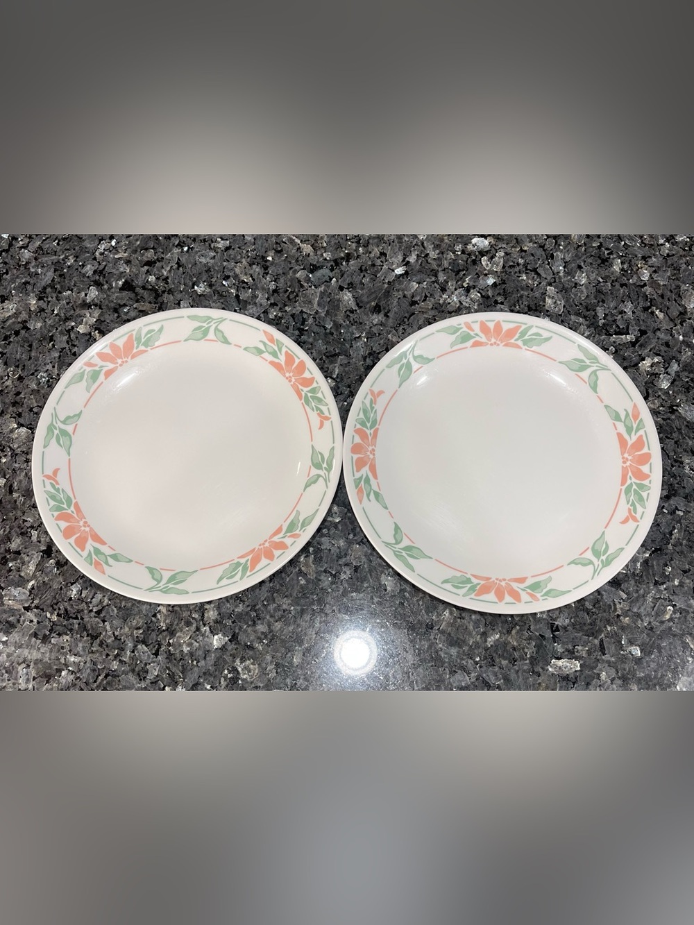 Corelle Island Breeze 10.25 in. Dinner Plates - Set of 2